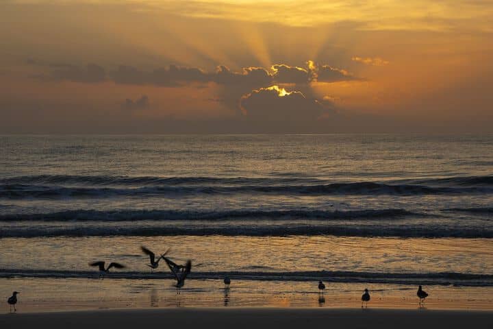 Beach